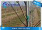 UVstock hemmnis Pultruded-Fiberglas-Rod For Plant Tree Supports Polen